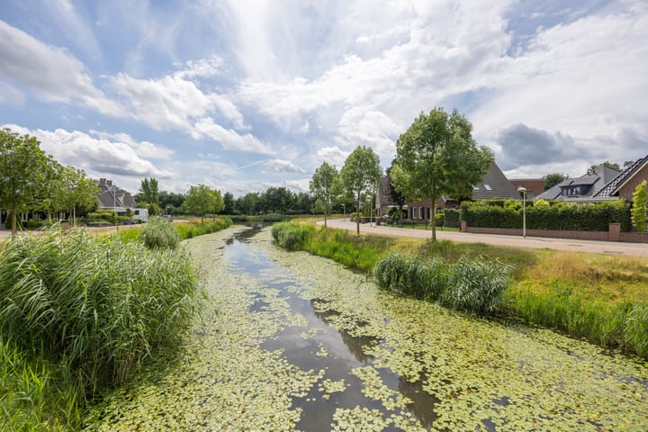 Foto 13 van Tormentil 13