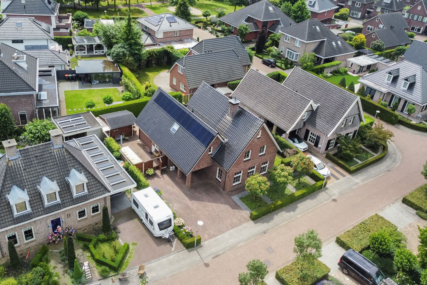 Foto 14 van Tormentil 13