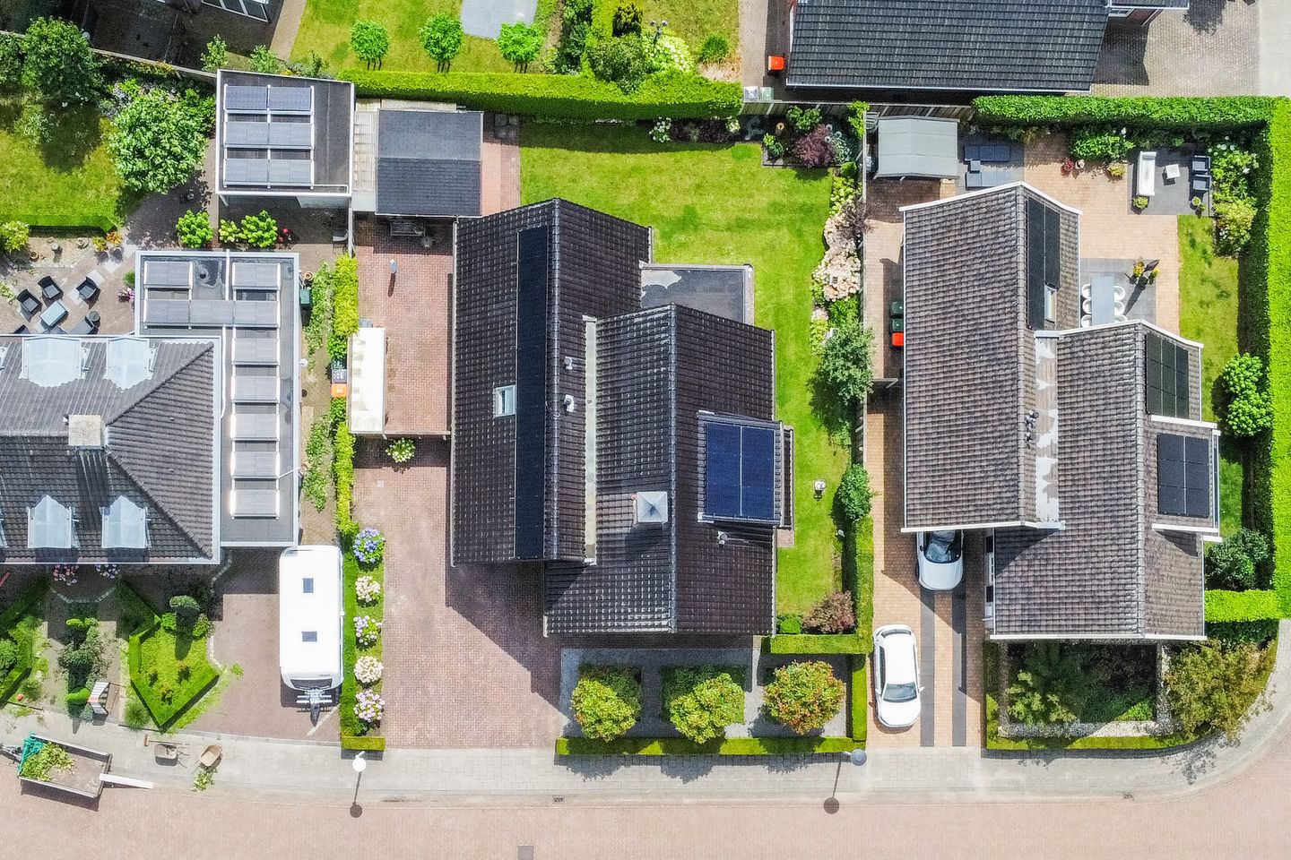 Foto 65 van Tormentil 13