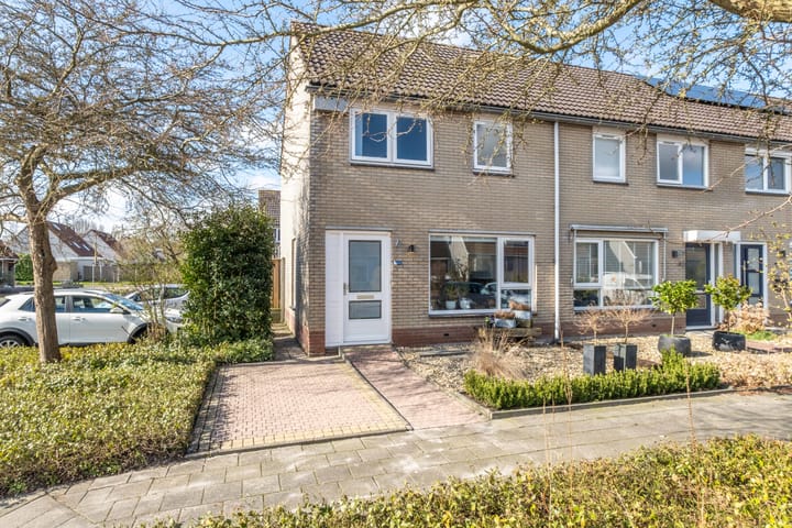 Foto 8 van Pinksterbloem 1