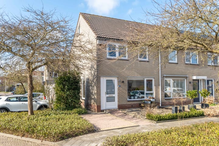 Foto 9 van Pinksterbloem 1