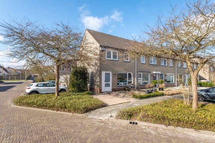 Foto 10 van Pinksterbloem 1