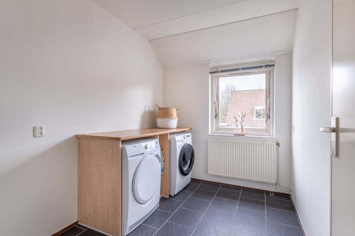 Foto 28 van Pinksterbloem 1