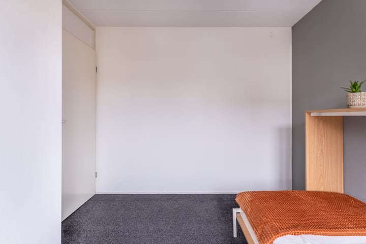 Foto 33 van Pinksterbloem 1