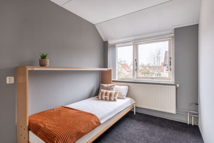 Foto 34 van Pinksterbloem 1