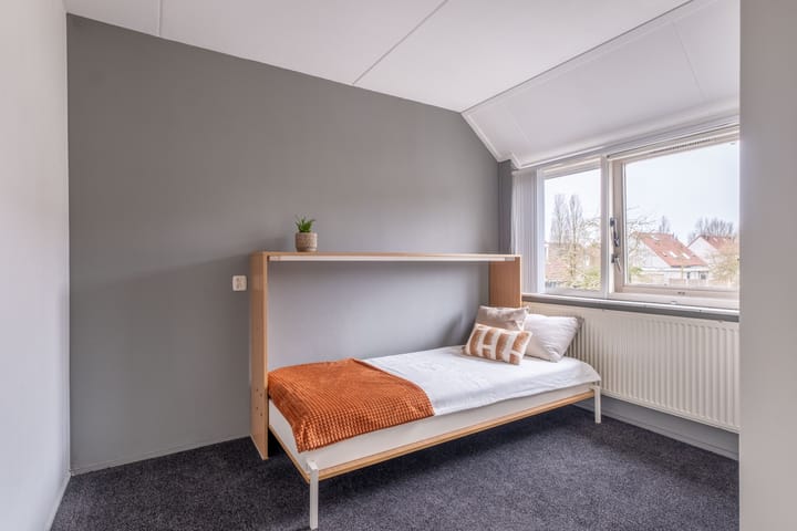 Foto 35 van Pinksterbloem 1