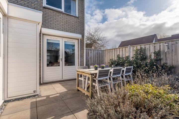 Foto 45 van Pinksterbloem 1