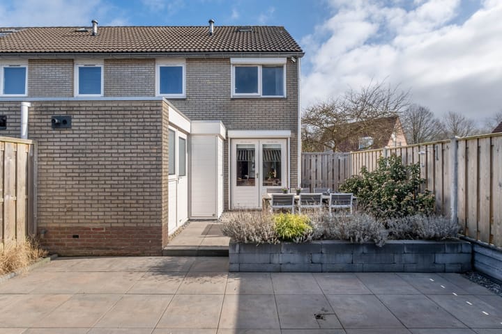 Foto 46 van Pinksterbloem 1