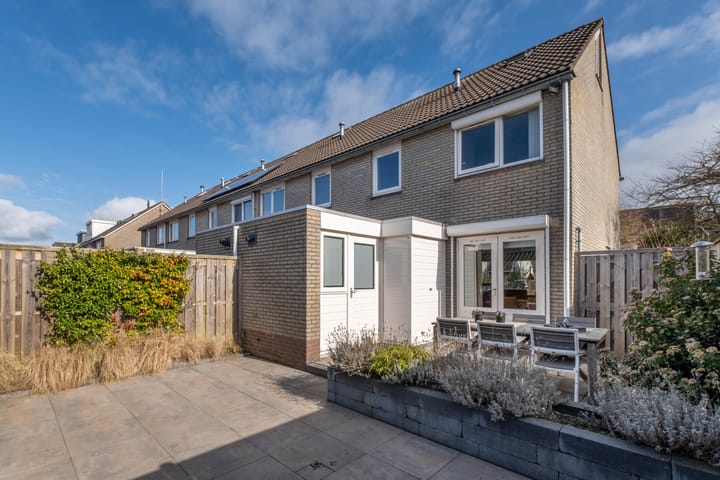 Foto 47 van Pinksterbloem 1