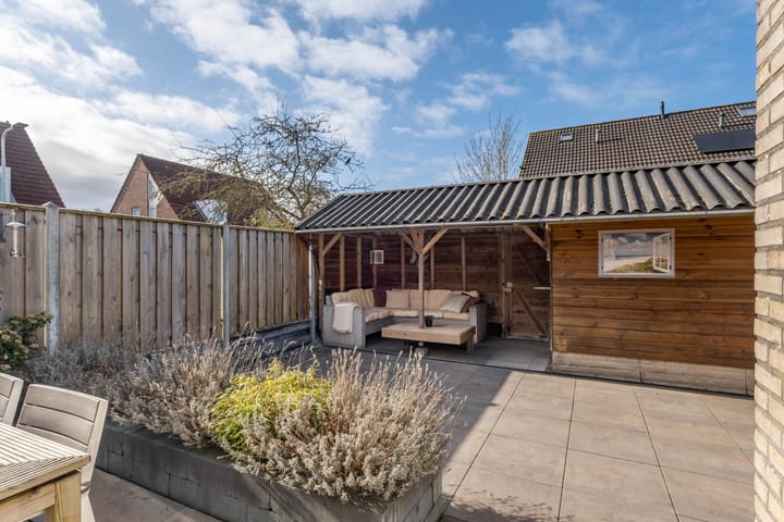 Foto 50 van Pinksterbloem 1