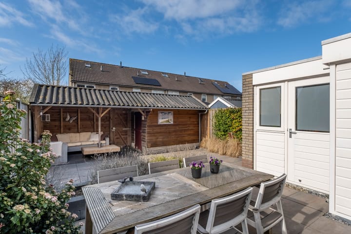 Foto 51 van Pinksterbloem 1