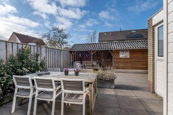 Foto 52 van Pinksterbloem 1