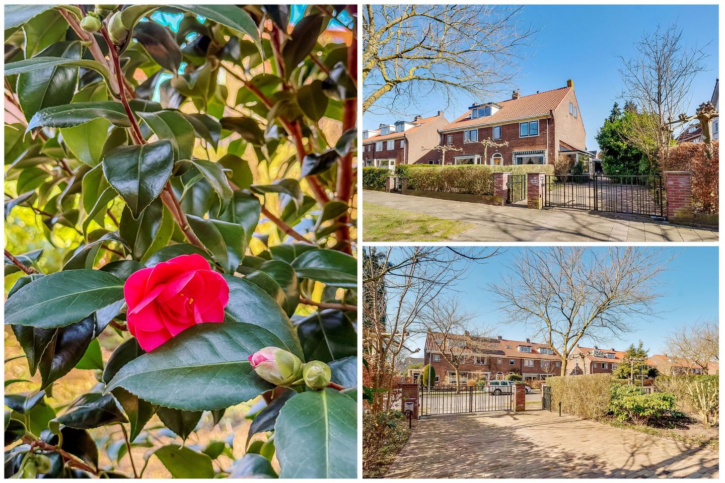 Foto 4 van Moerbeilaan 49