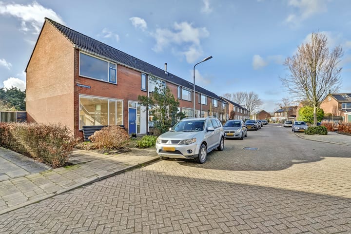 Pauwhoekstraat 41