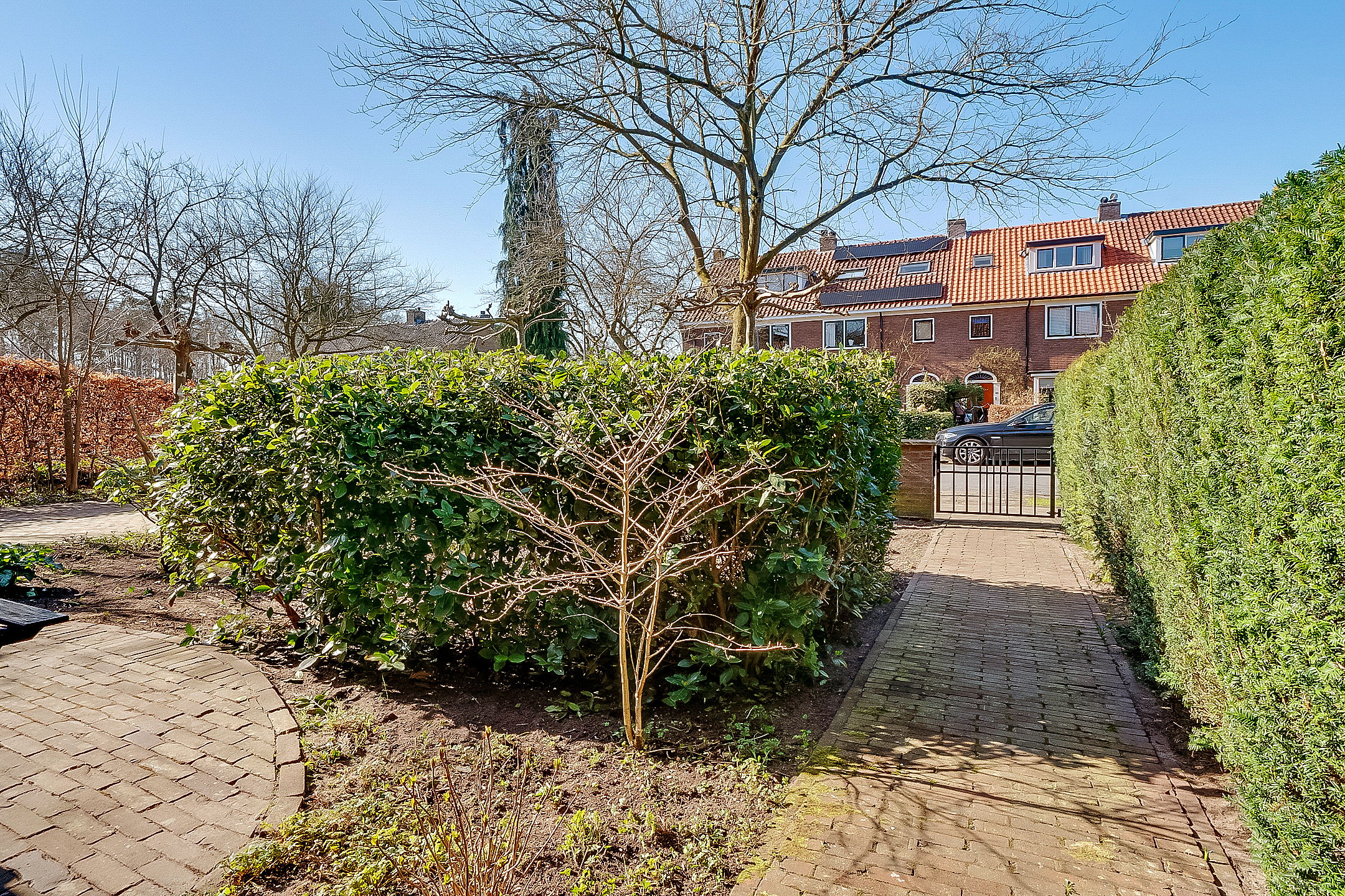 Foto 9 van Moerbeilaan 49