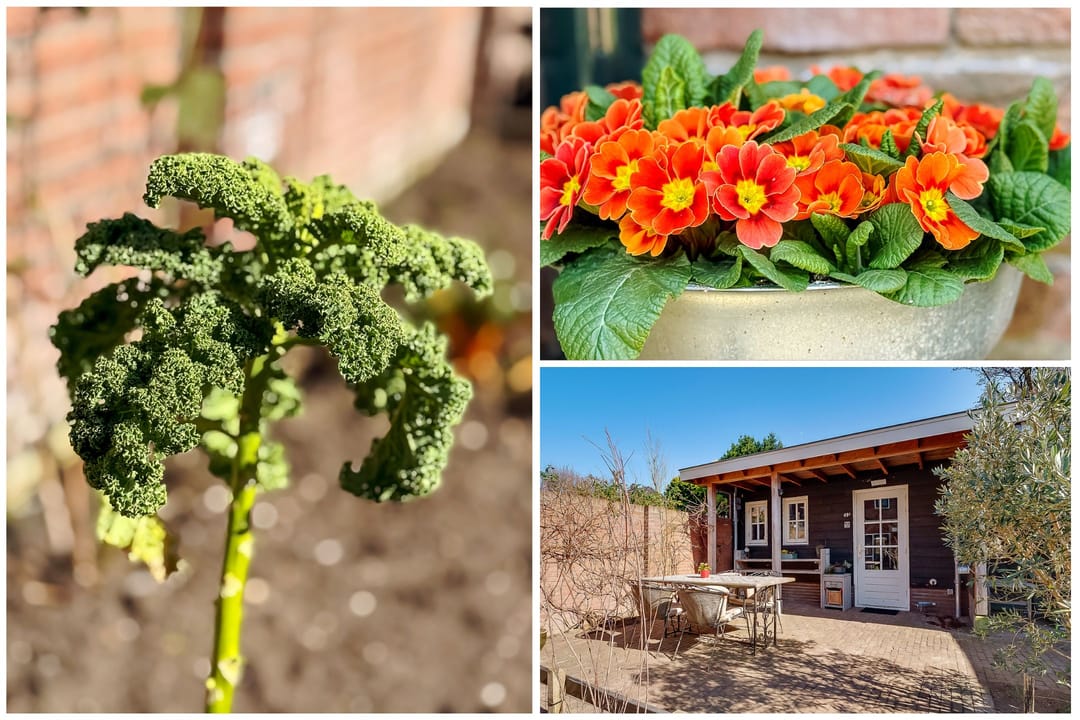 Foto 41 van Moerbeilaan 49