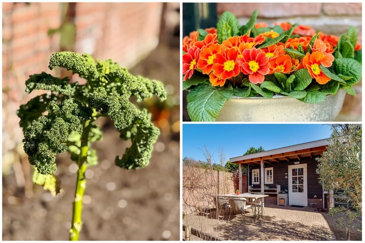 Foto 41 van Moerbeilaan 49