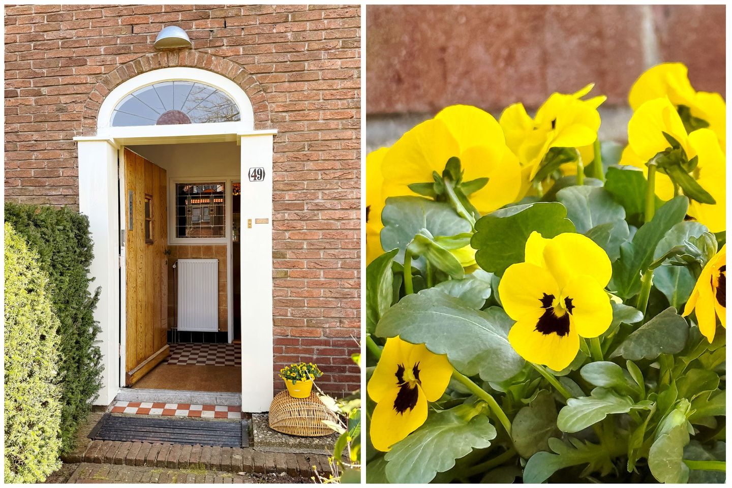 Foto 44 van Moerbeilaan 49