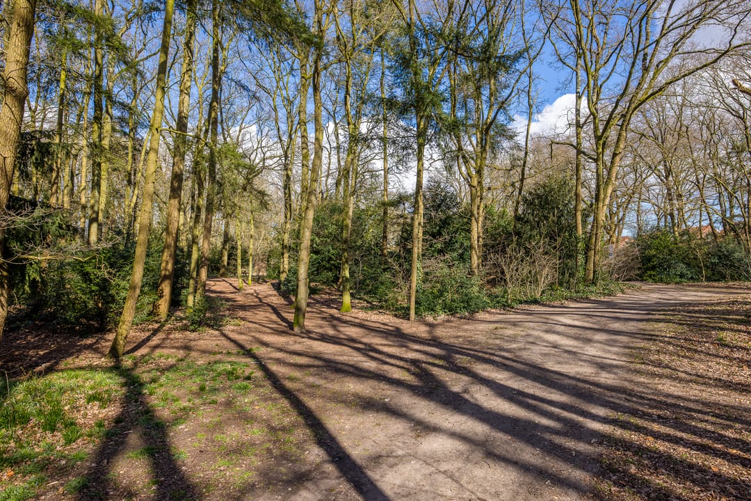 Foto 32 van Zeverijnstraat 43