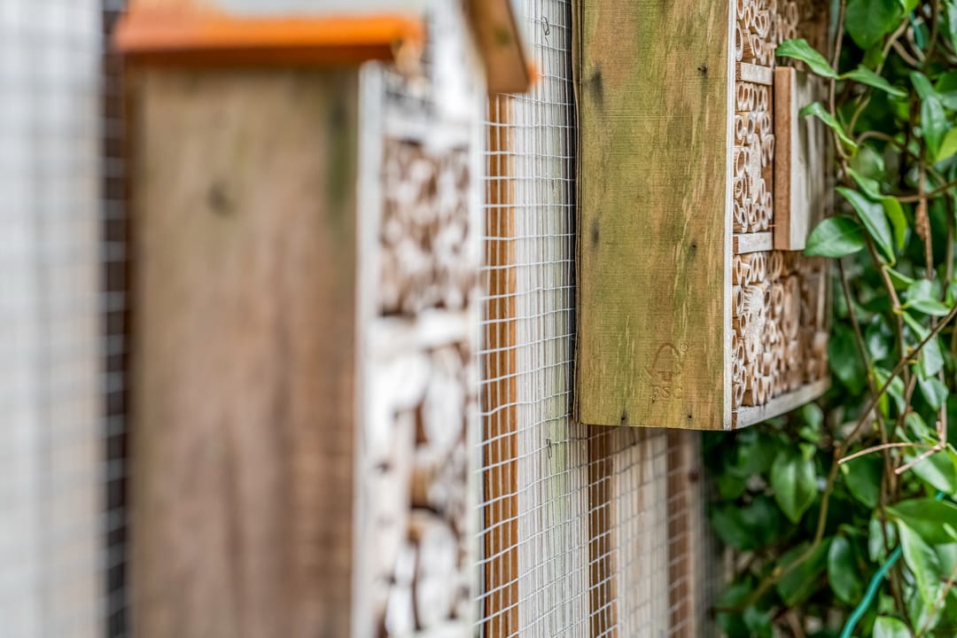 Photo 25 of Jan Vermeerstraat 85