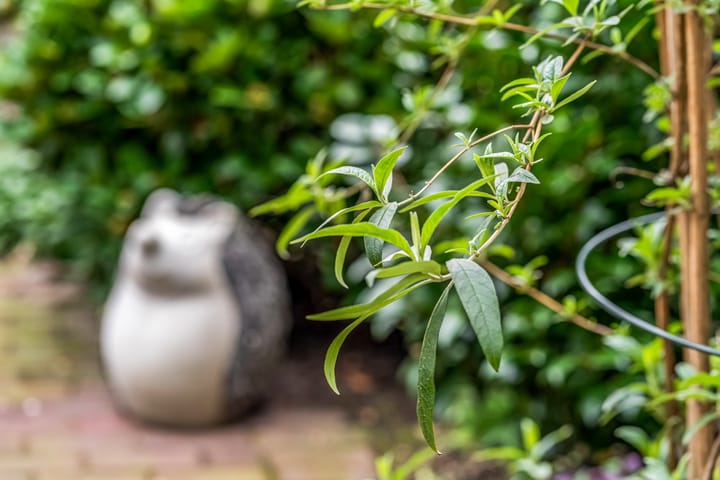 Foto 27 van Jan Vermeerstraat 85