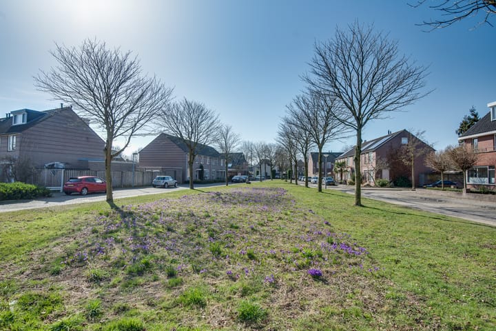 Photo 29 of Heintje Davidsstraat 20