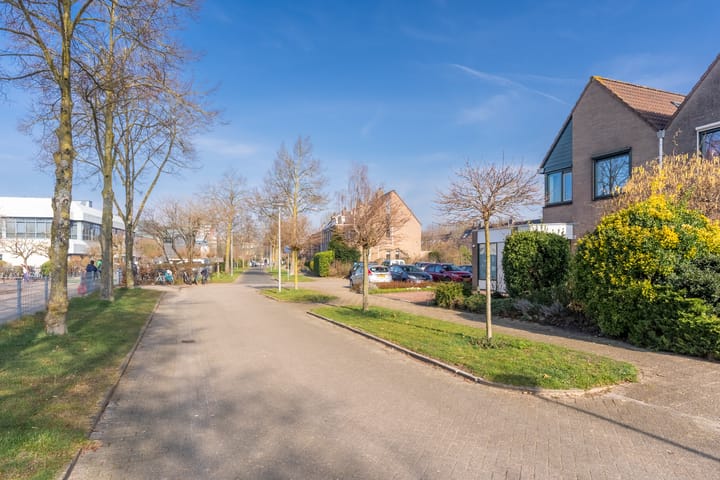 Photo 38 of Watermolen 38