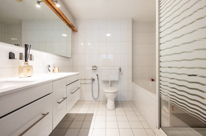 Foto 4 van Delfland 3