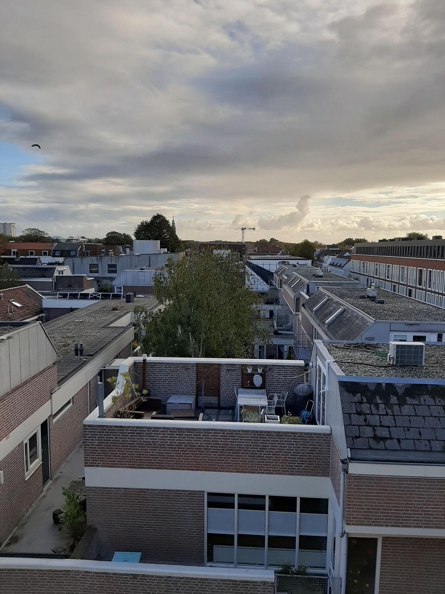 Foto 14 van Drossestraat 58