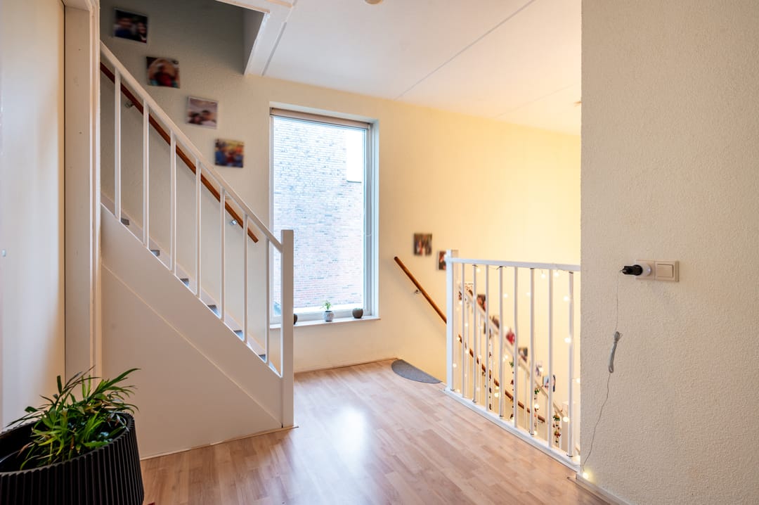 Foto 23 van Delfland 3