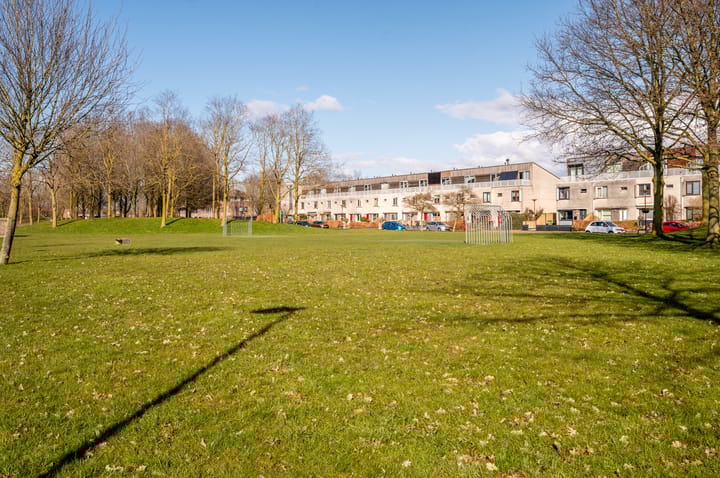 Foto 54 van Delfland 3