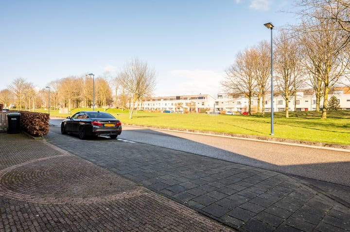 Foto 55 van Delfland 3