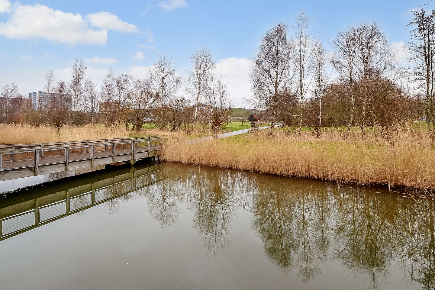 Foto 4 van De Fruittuinen 90