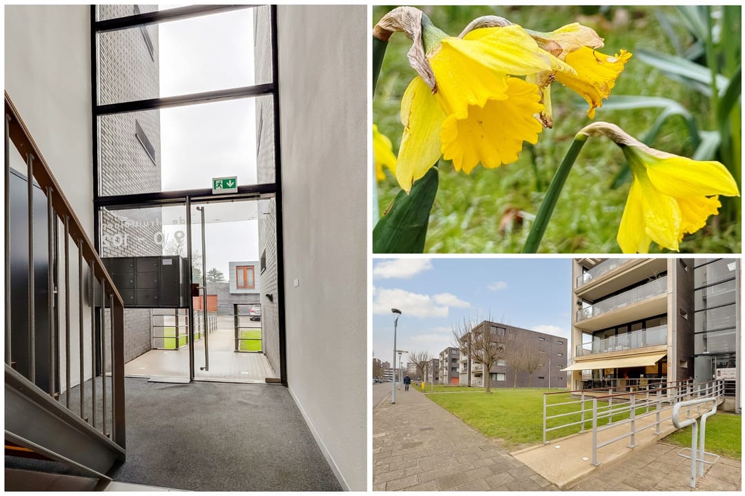 Foto 7 van De Fruittuinen 90