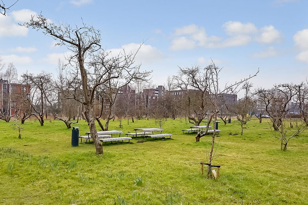 Foto 32 van De Fruittuinen 90