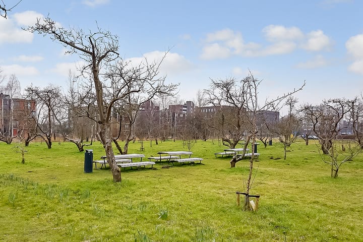 Foto 32 van De Fruittuinen 90