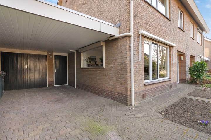 Foto 5 van Wijnruit 8