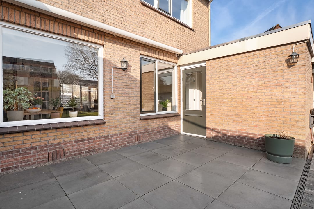 Photo 8 of Wijnruit 8