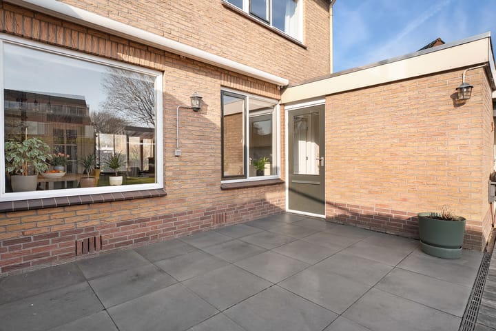 Foto 8 van Wijnruit 8