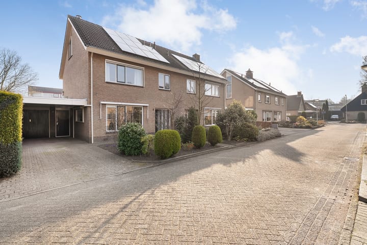 Foto 41 van Wijnruit 8