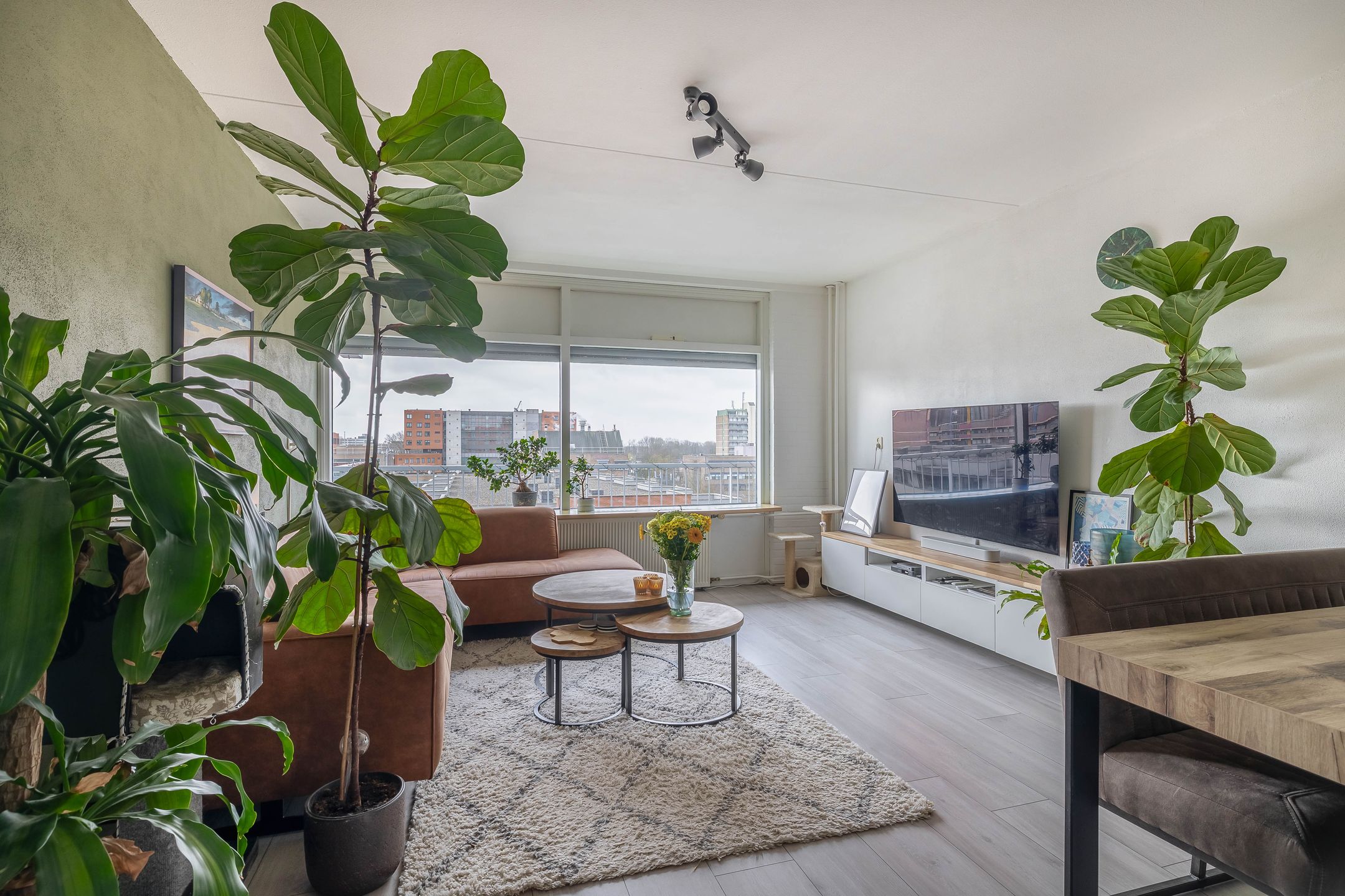 Foto 12 van Kadoelerbos 144