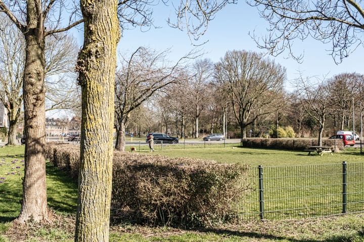 Foto 53 van Wilgenstraat 11