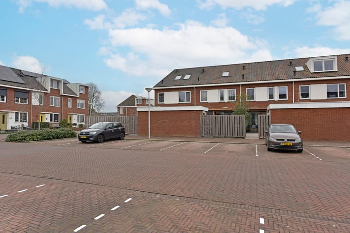 Foto 35 van Meerkoet 6