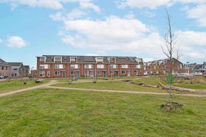 Foto 37 van Meerkoet 6