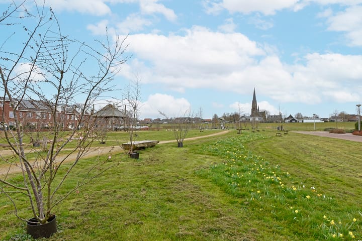 Foto 38 van Meerkoet 6