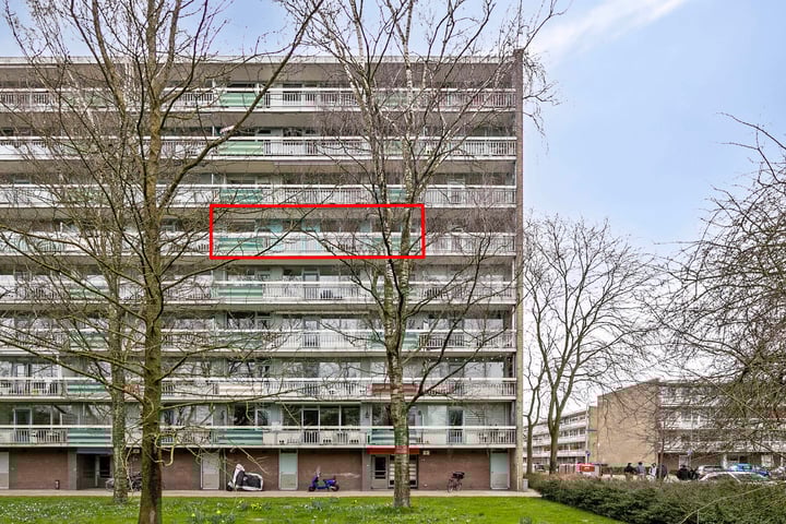 Bekijk foto van Zangvogelweg 24