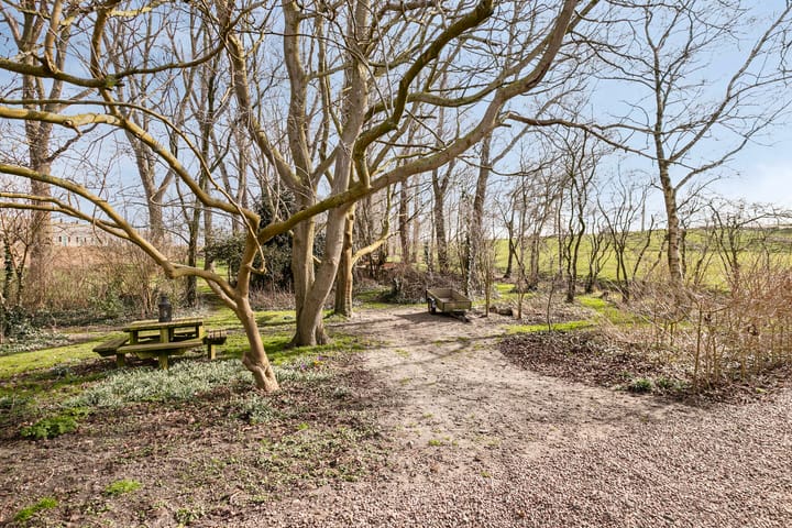 Foto 39 van Zuiddijk 3