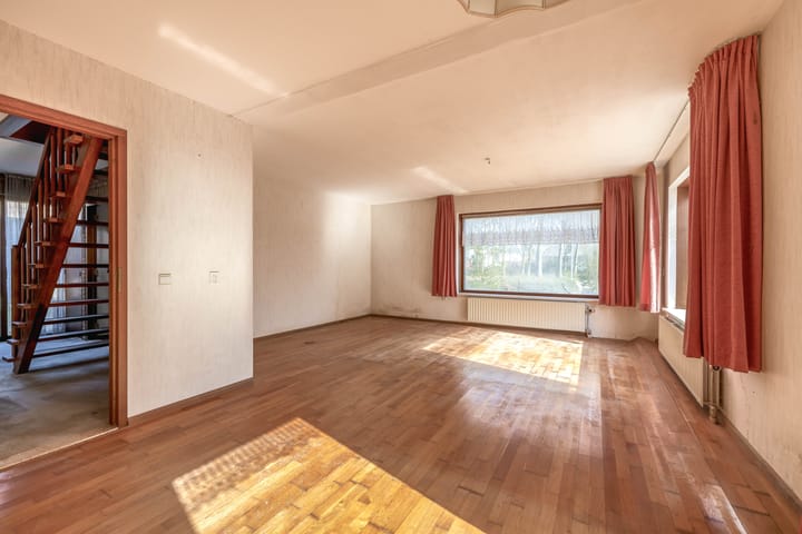 Foto 2 van Bromelia 14