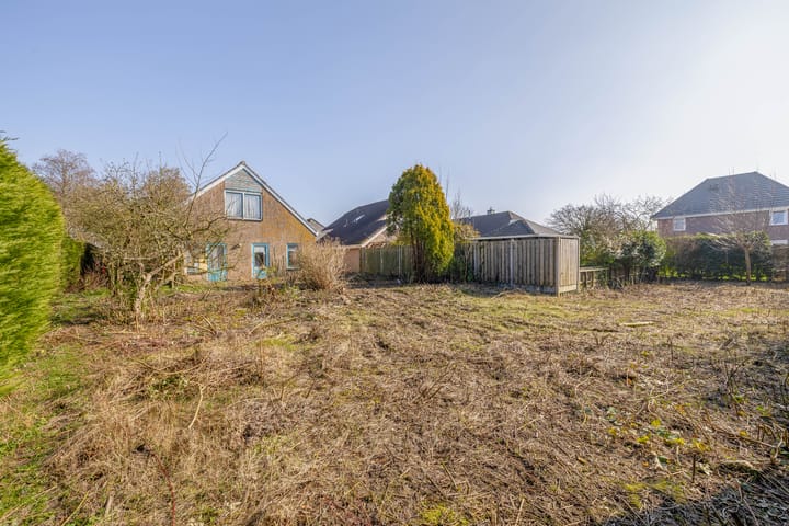 Foto 3 van Bromelia 14