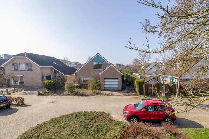 Foto 4 van Bromelia 14